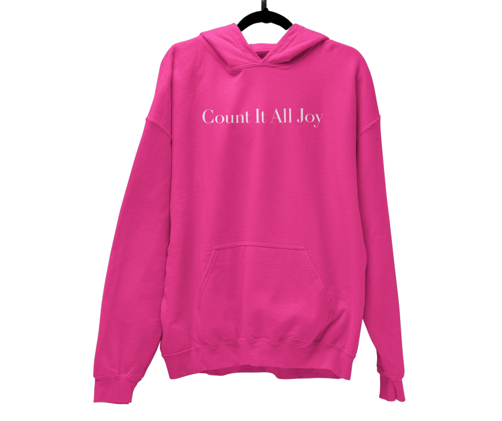 Count It All Joy Embroidered Pullover Hoodie Light Blue Feusha Light Pink