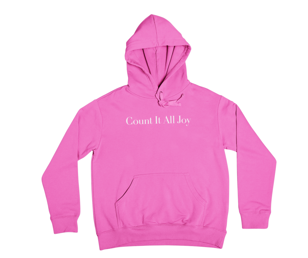 Count It All Joy Embroidered Pullover Hoodie Light Blue Feusha Light Pink